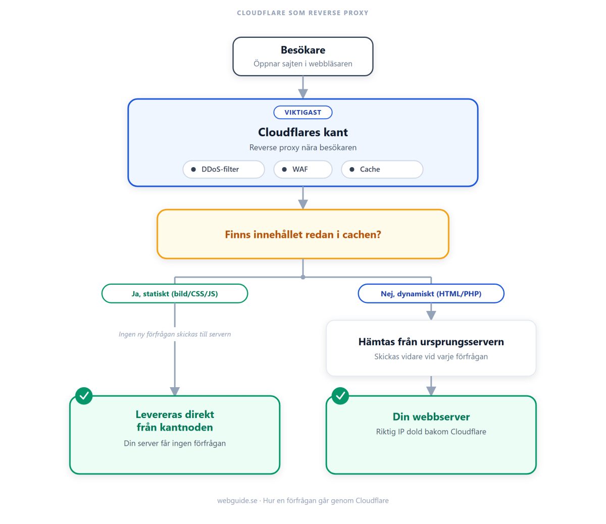Flödesschema som visar hur en förfrågan går genom Cloudflare som reverse proxy. Besökaren når först Cloudflares kant med DDoS-filter, WAF och cache, där beslutet tas om innehållet redan finns cachat. Statiskt innehåll som bilder, CSS och JavaScript levereras direkt från kantnoden utan att belasta servern, medan dynamiskt innehåll som HTML från PHP eller WordPress hämtas från ursprungsservern vars riktiga IP-adress hålls dold bakom Cloudflare.