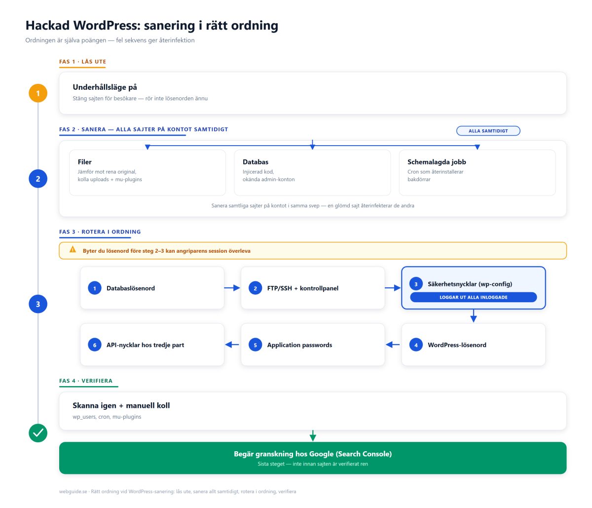 Flödesschema i fyra faser för att sanera en hackad WordPress-sajt i rätt ordning: fas 1 lås ute sajten i underhållsläge, fas 2 sanera alla sajter på kontot samtidigt (filer, databas, schemalagda jobb), fas 3 rotera lösenord och nycklar i numrerad ordning ett till sex där steg tre (säkerhetsnycklar i wp-config) loggar ut alla inloggade, fas 4 skanna igen och kontrollera manuellt innan granskning begärs hos Google Search Console