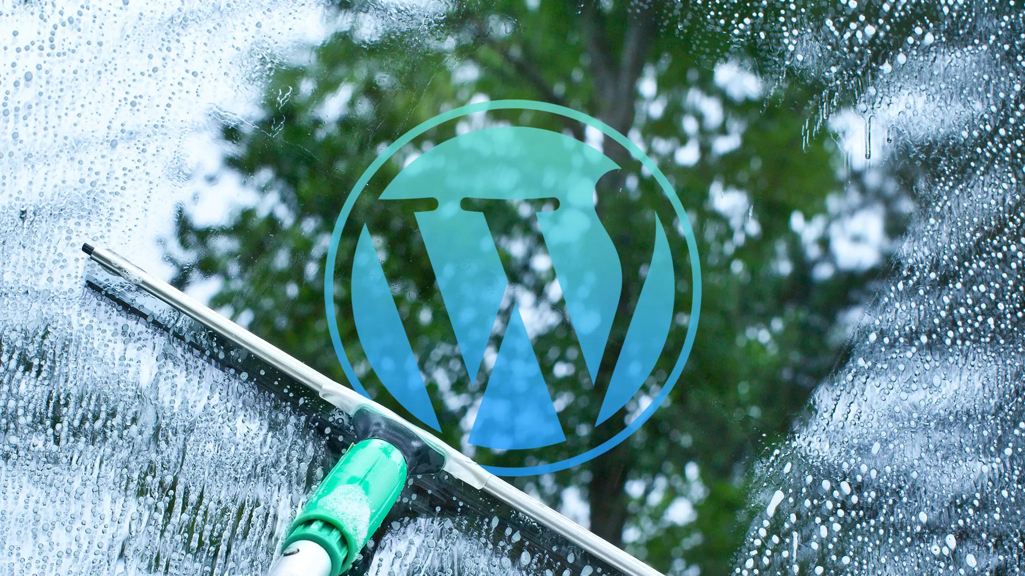 WordPress plugin-audit - Så rensar du bort det som saktar ner din sajt